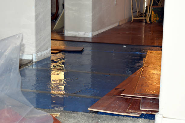 Professional Burst Pipe Water Damage technician working in Harper, TX